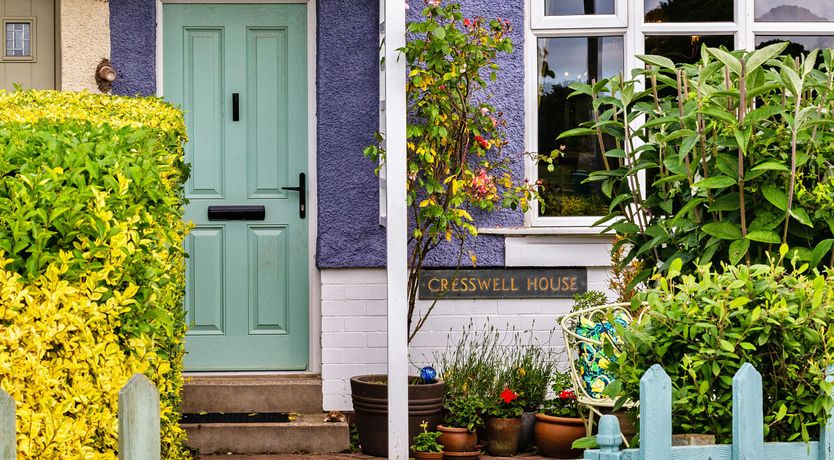 Photo of Wave Watcher's Paradise