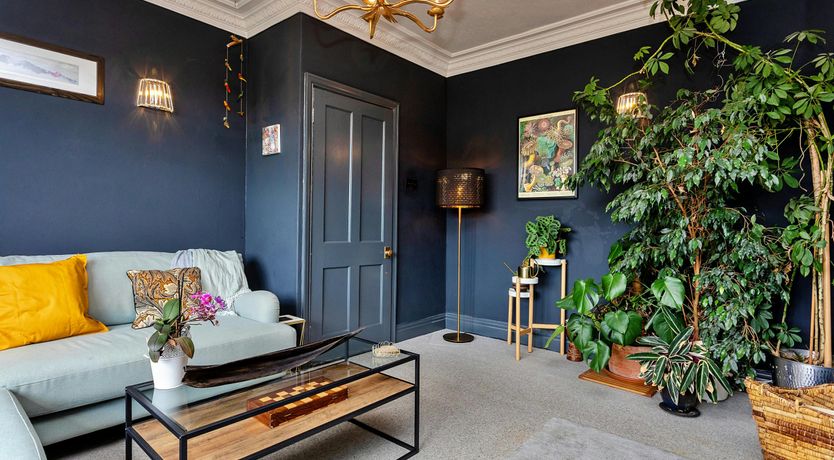 Photo of Wave Watcher's Paradise