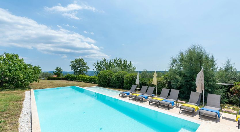 Photo of Afternoon Dreaming