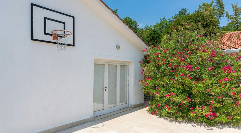 Photo of Afternoon Dreaming