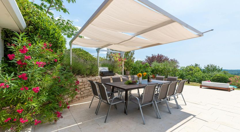 Photo of Afternoon Dreaming