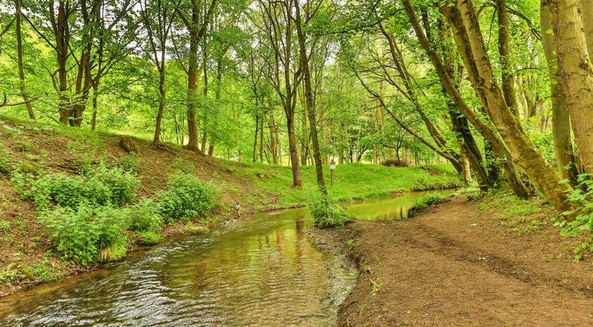 Photo of The Secret Mill