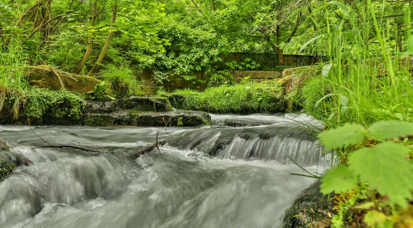 Photo of The Secret Mill