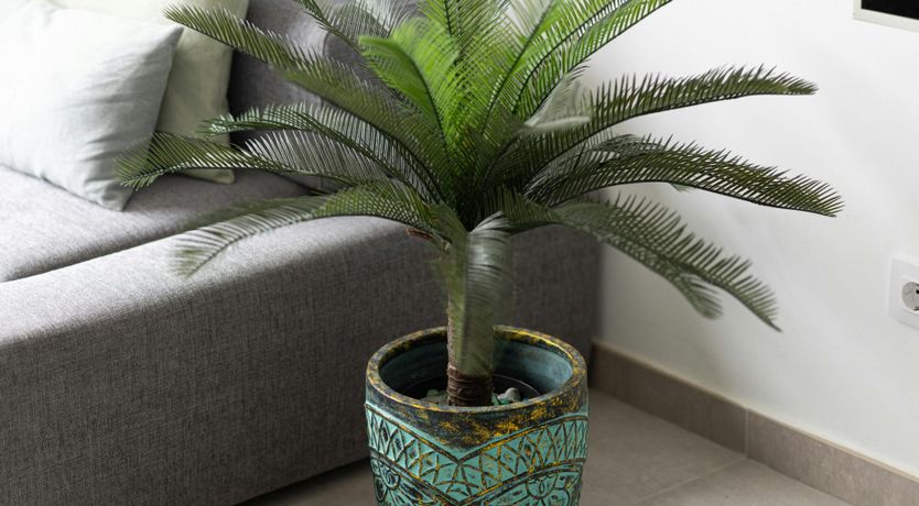 Photo of The Dream Keeper