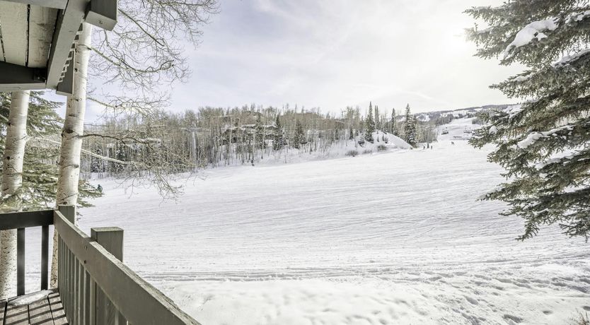 Photo of Slope-side Sanctuary