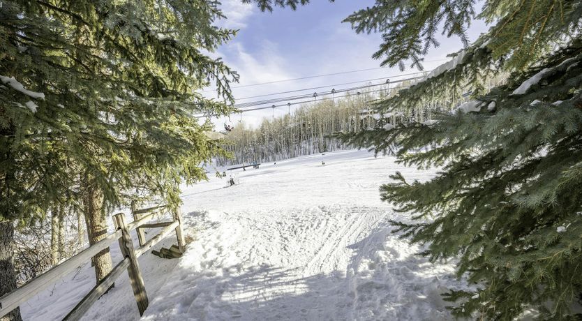 Photo of Slope-side Sanctuary