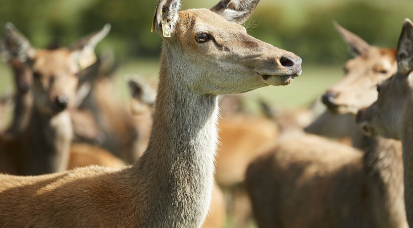 Photo of The Lincolnshire Sun