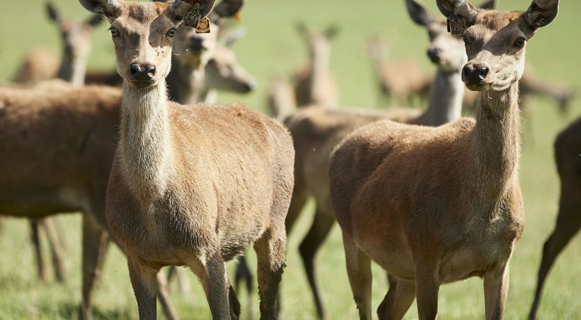 Photo of The Lincolnshire Sun
