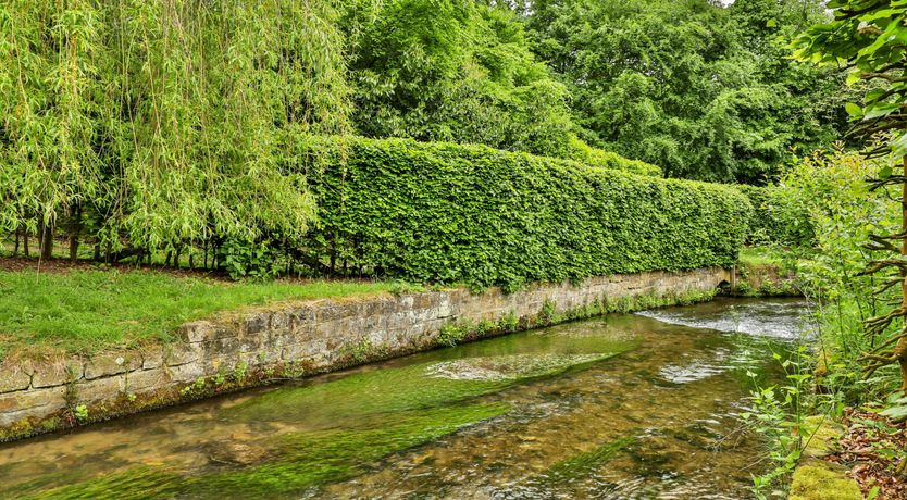 Photo of Lush River Retreat