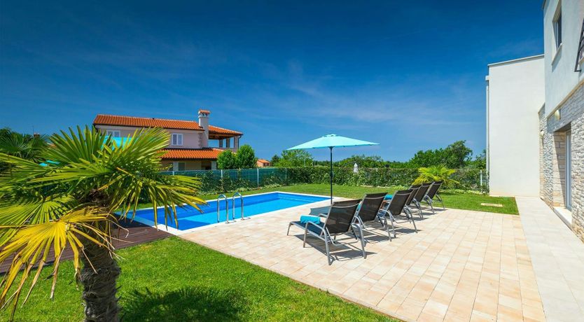 Photo of Sunflowers on the Shore