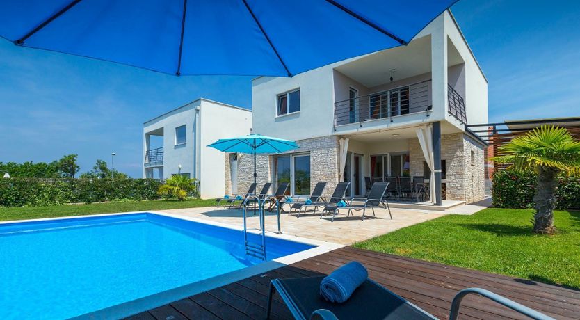 Photo of Sunflowers on the Shore