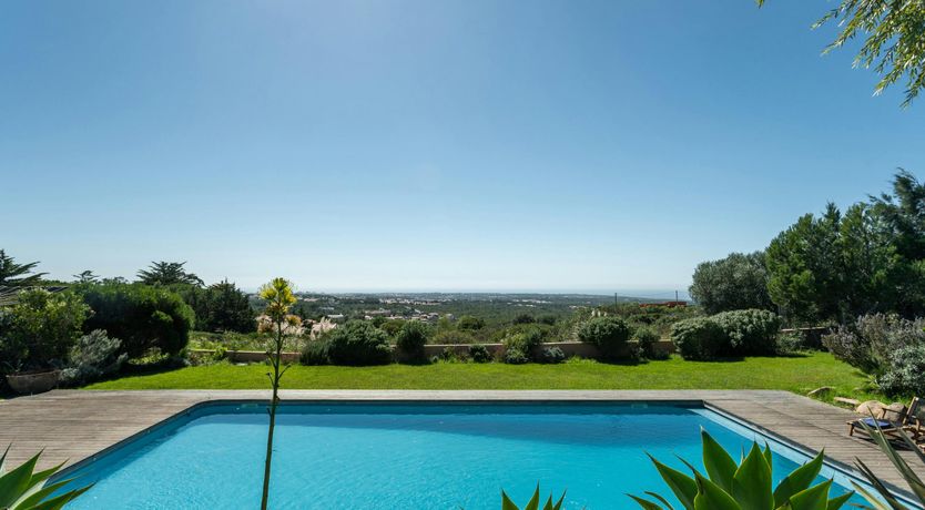 Photo of Lightness of Living