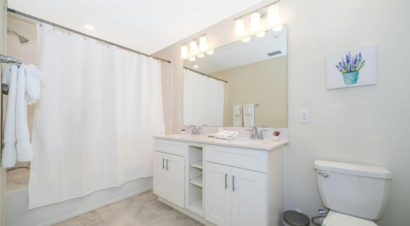 Photo of Sunflower Sun