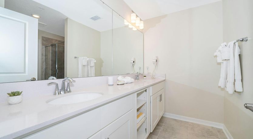 Photo of Sunflower Sun