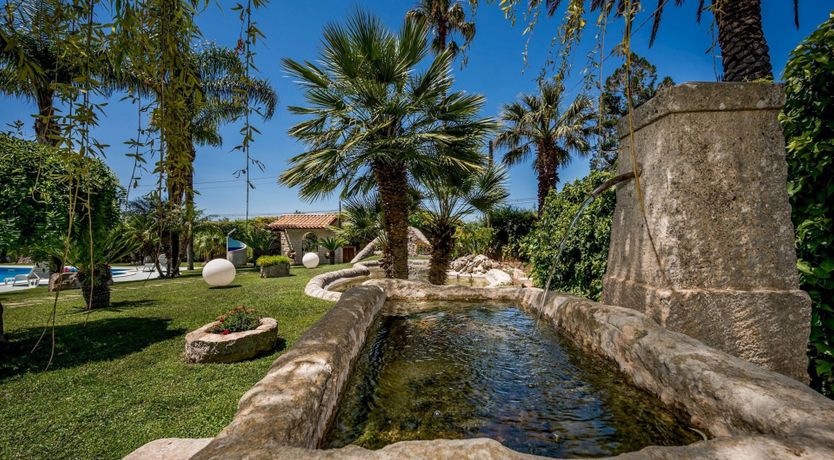 Photo of Citrus Bliss