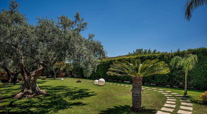 Photo of Citrus Bliss