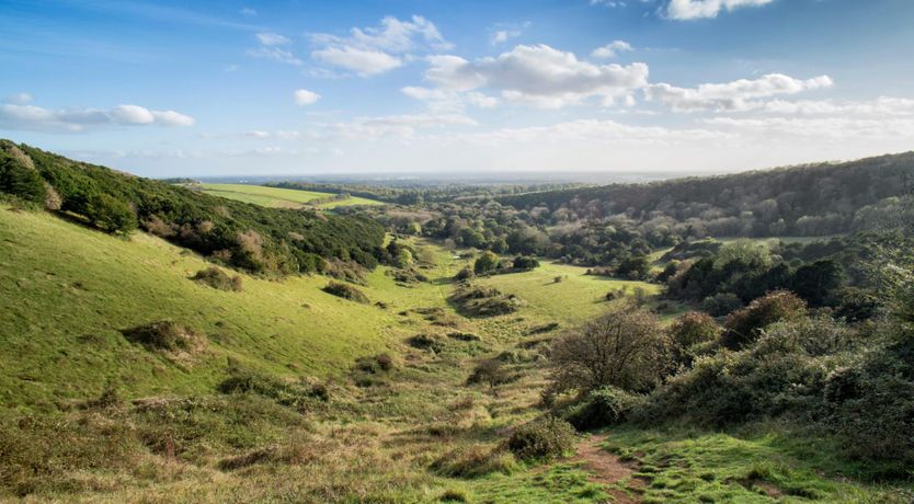 Photo of Waves of Happiness