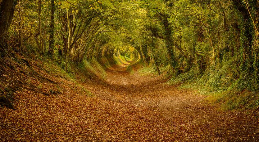 Photo of Waves of Happiness