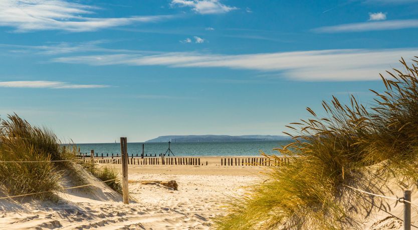 Photo of Waves of Happiness