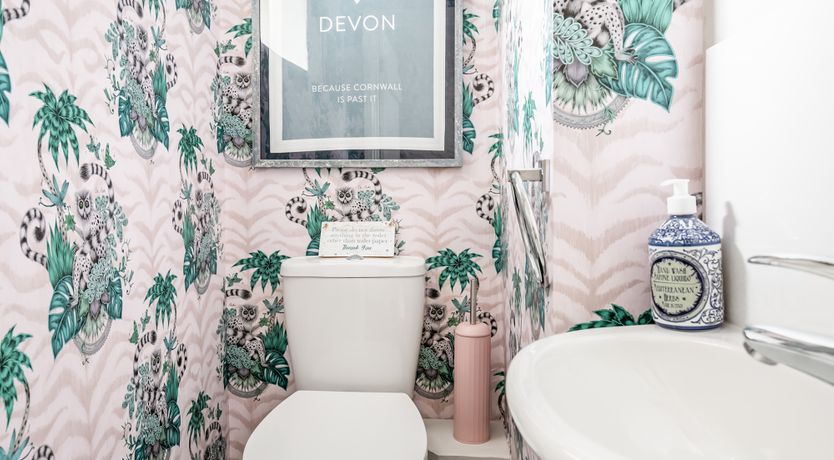 Photo of Gazing Upstream