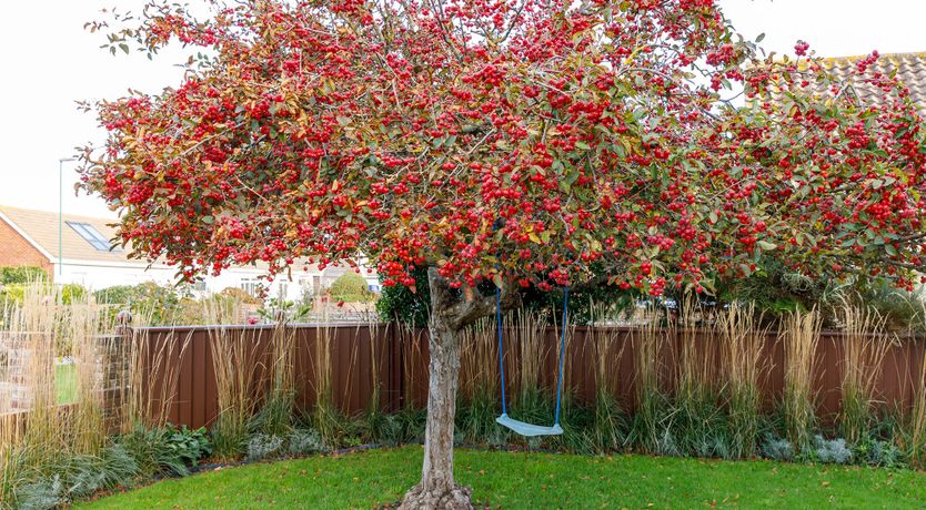 Photo of The Ebbing Tide