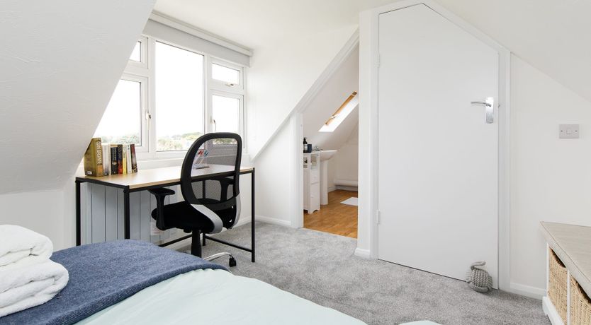 Photo of Beach Bunnies