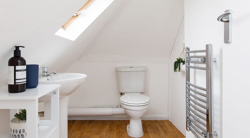 Photo of Beach Bunnies