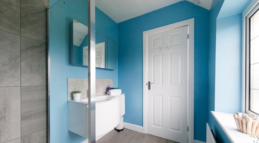 Photo of Beach Bunnies