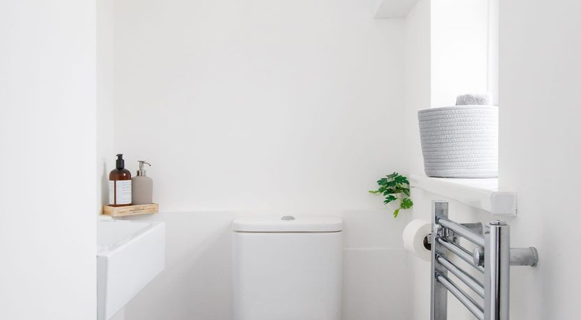 Photo of Beach Bunnies