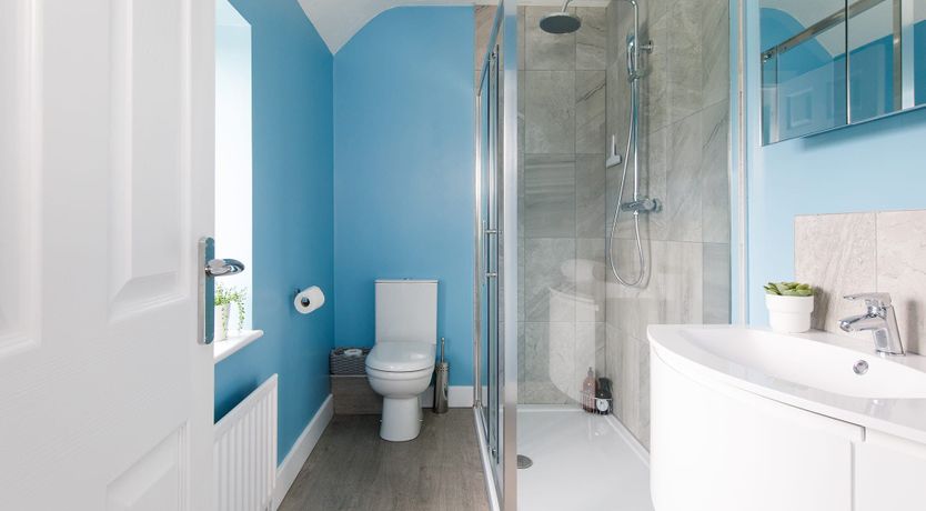 Photo of Beach Bunnies