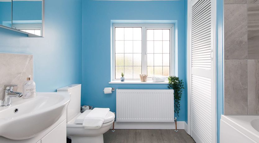 Photo of Beach Bunnies