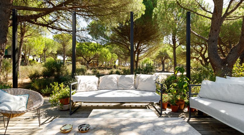 Photo of A Sunshine Affair