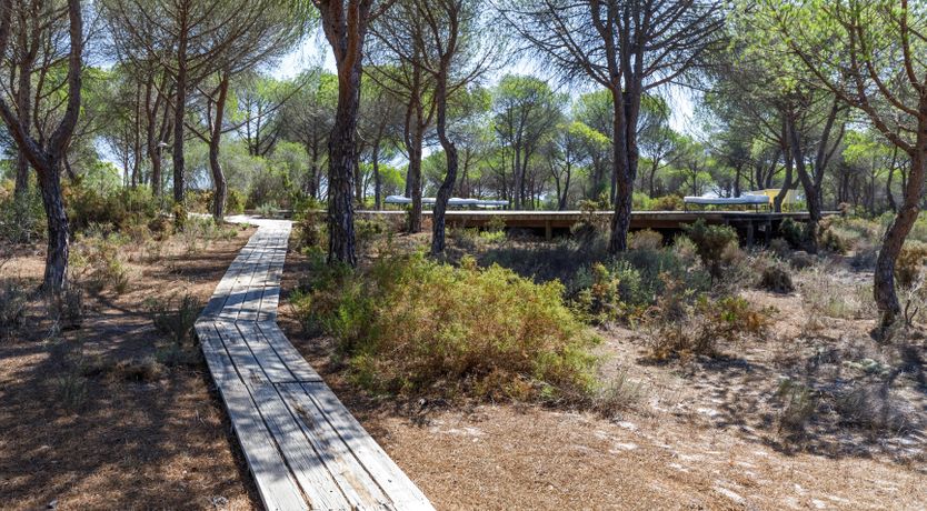 Photo of A Sunshine Affair