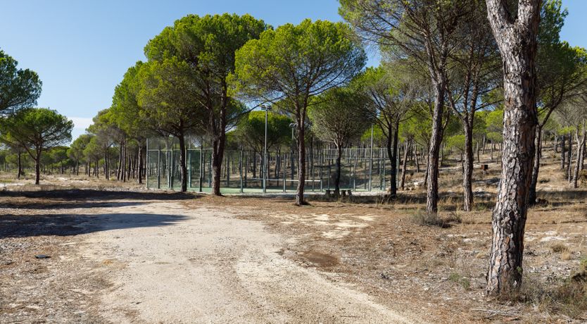 Photo of A Sunshine Affair