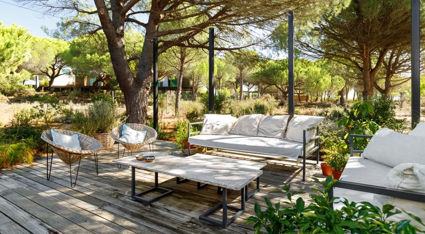 Photo of A Sunshine Affair