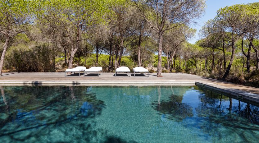 Photo of A Sunshine Affair