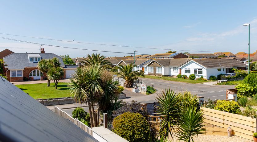 Photo of Cockleshells