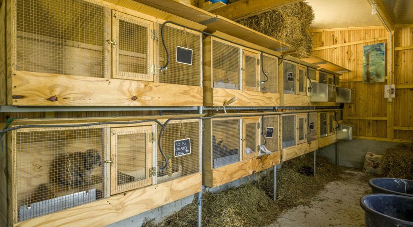 Photo of Casa Aurora