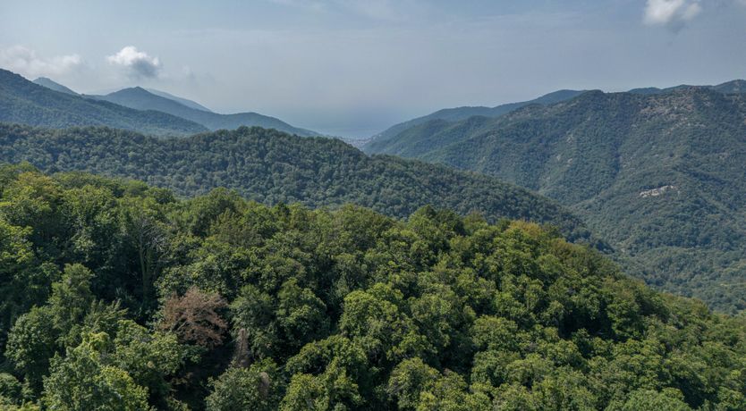 Photo of Casa Aurora