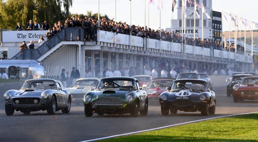 Photo of The Shell Collector