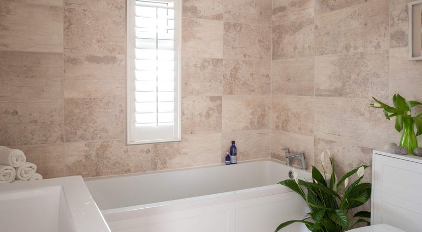 Photo of The Shell Collector