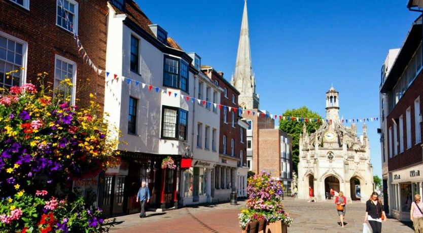 Photo of The Shell Collector