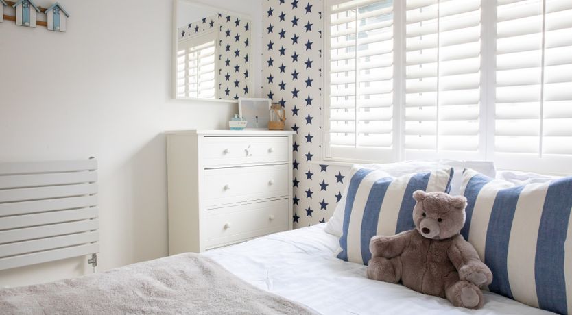 Photo of The Shell Collector