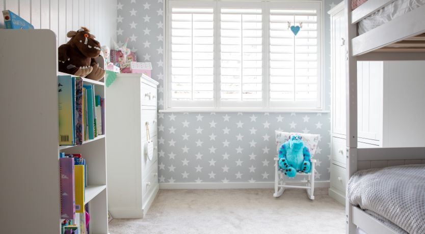 Photo of The Shell Collector