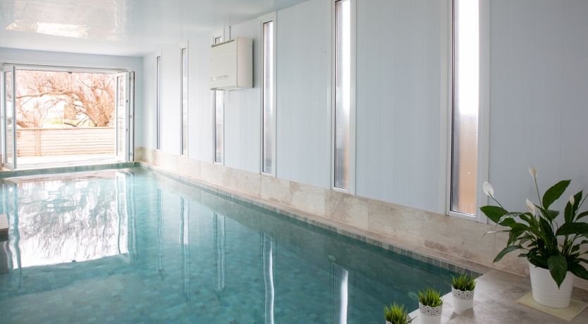 Photo of The Shell Collector