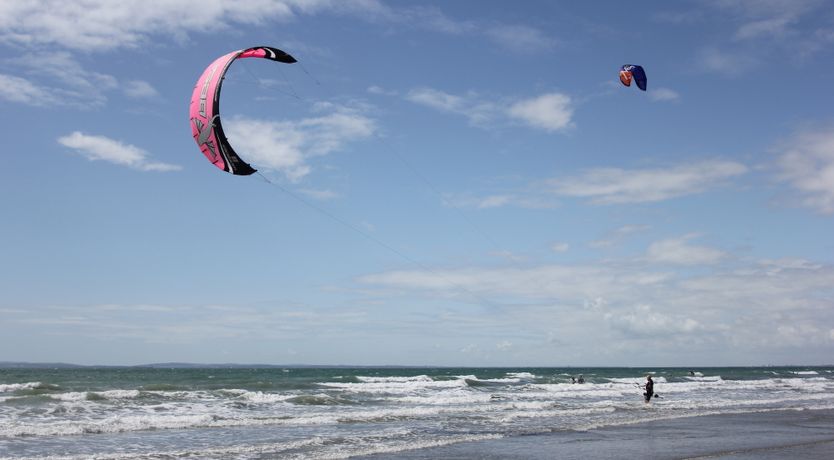 Photo of The Shell Collector