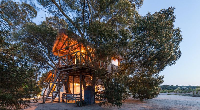 Photo of The Tree House Villa