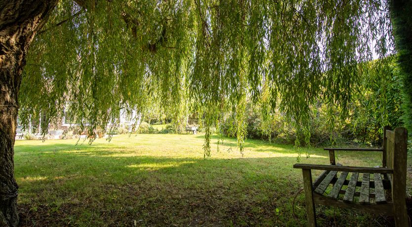 Photo of Wind in Your Sails