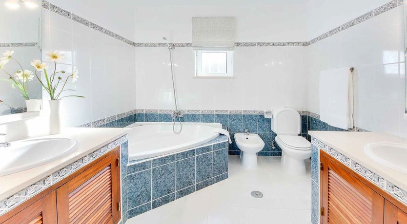 Photo of Portuguese Peony