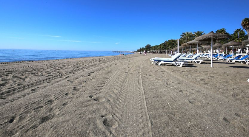 Photo of Sweet Juliet